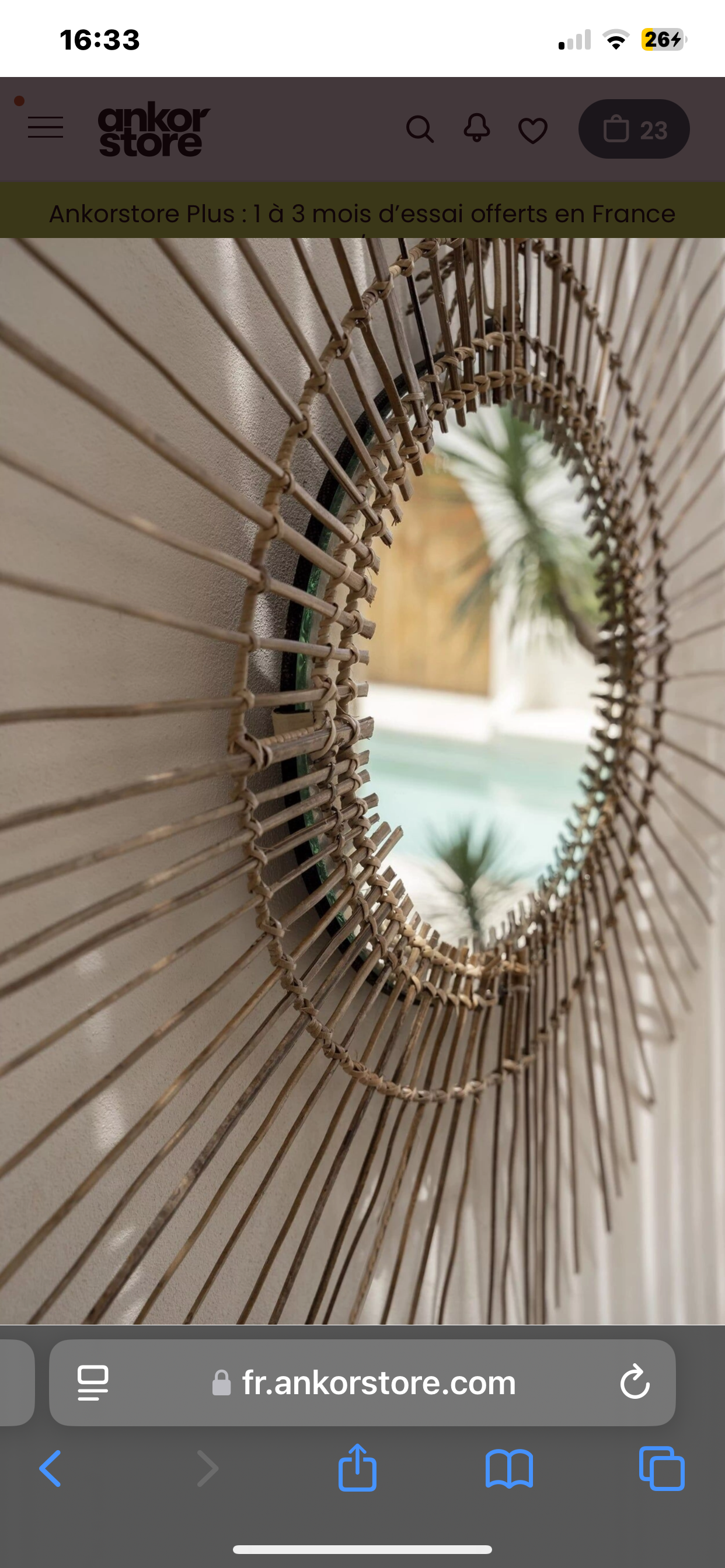 Le miroir Tropical - Naturel - L